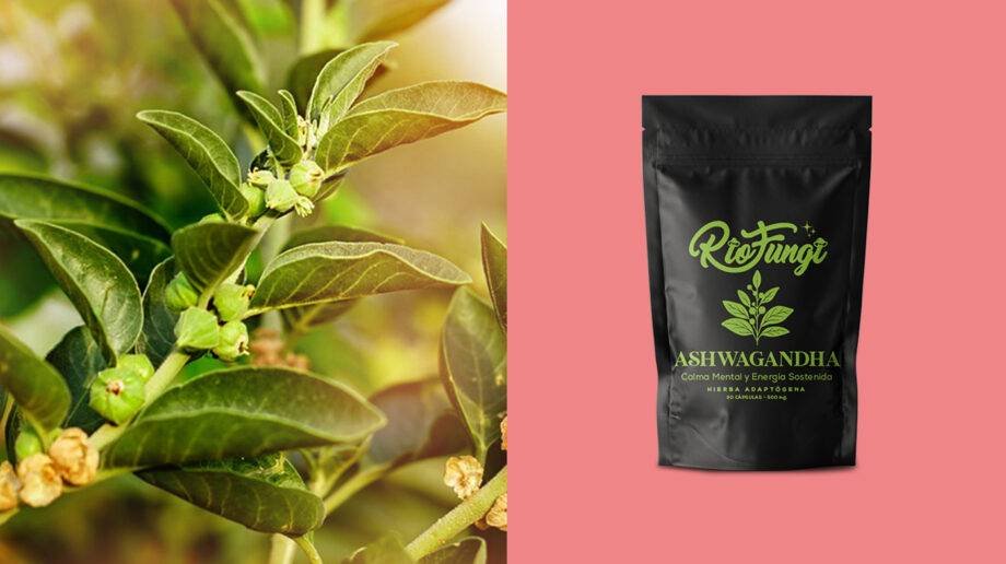 Cuánta Ashwagandha tomar por día: dosis, horarios y errores comunes 1 ashwagandha