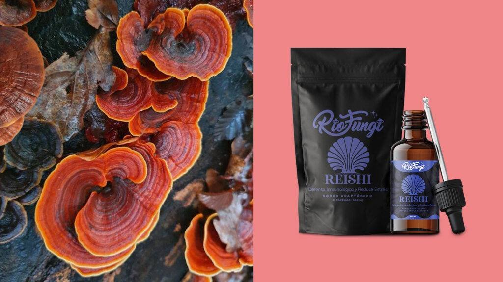 reishi