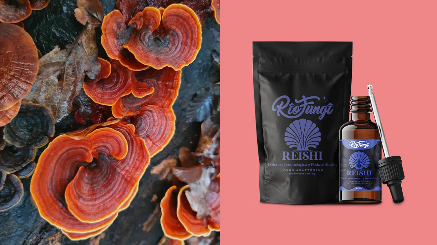 reishi