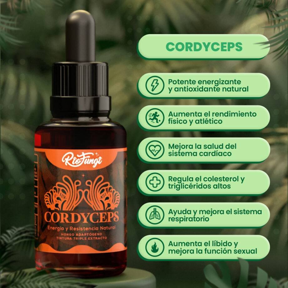 cordyceps en extracto gotero