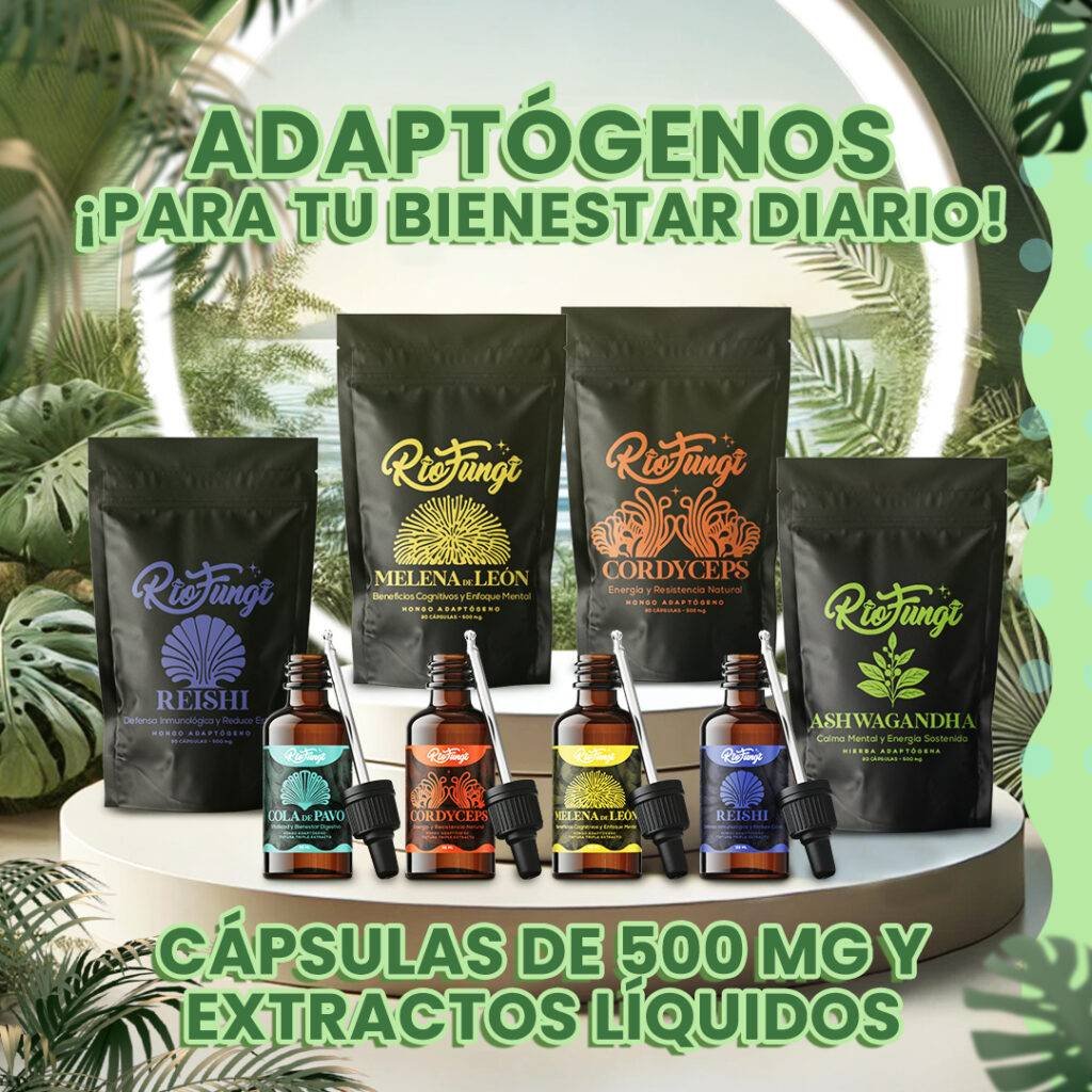 Hongos Adaptógenos medicinales para tu bienestar en Capsulas y extracto natural Río Fungi. Melena de Leon, Reishi, Cordyceps, Ashwagandha, cola de pavo