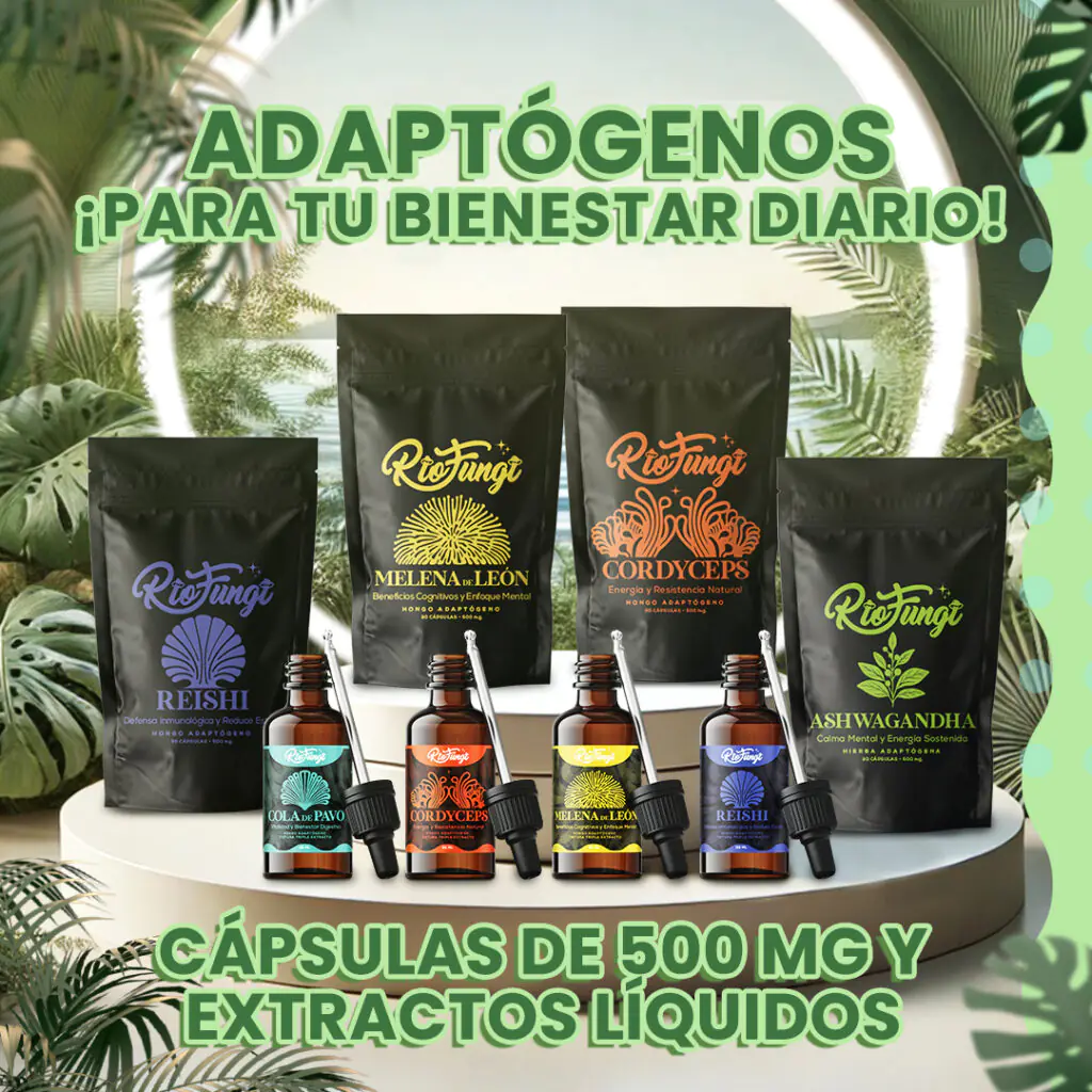 Hongos Adaptógenos medicinales para tu bienestar en Capsulas y extracto natural Río Fungi. Melena de Leon, Reishi, Cordyceps, Ashwagandha, cola de pavo