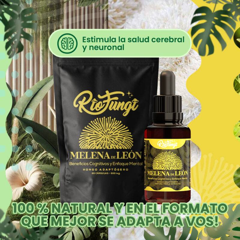 melena de león en capsulas y goteros extractos