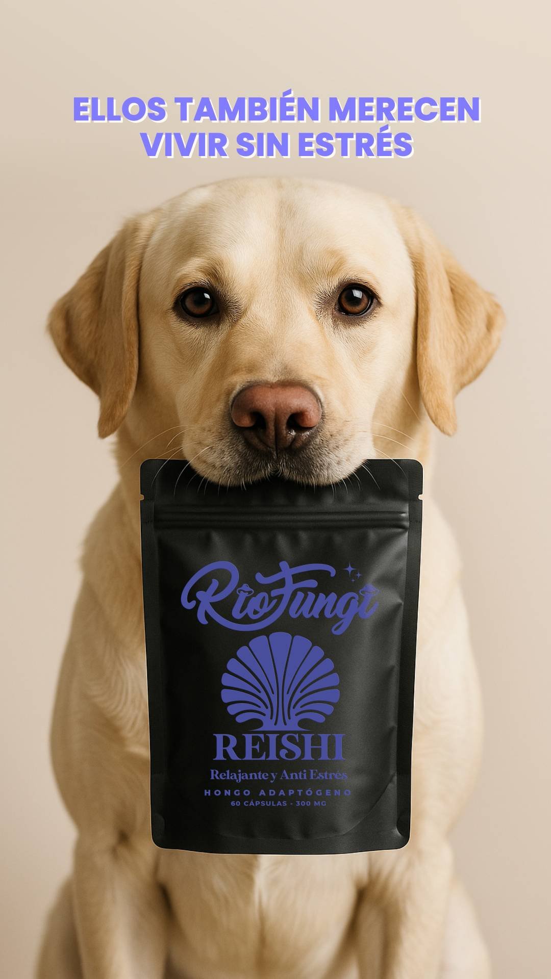 reishi para perritos