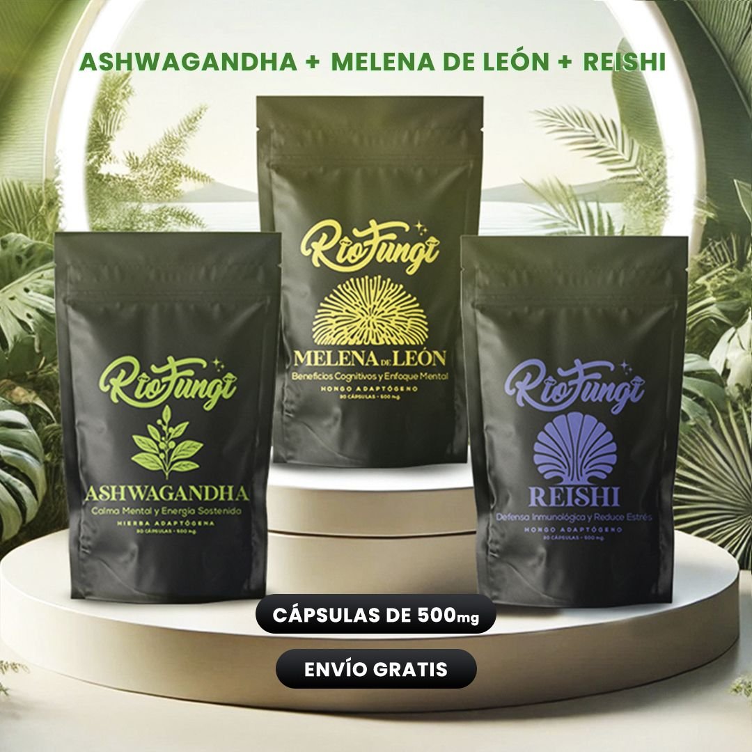 Combo Cápsulas x3 Melena + Ashwagandha + Reishi 1 Combo Capsulas x3 Melena de León, Ahsawagandha, Reishi
