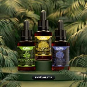 combo Ashwagandha, melena de leon y reishi