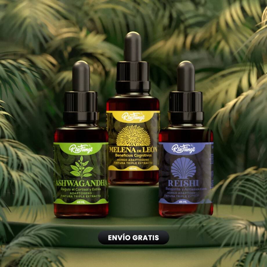 combo Ashwagandha, melena de leon y reishi