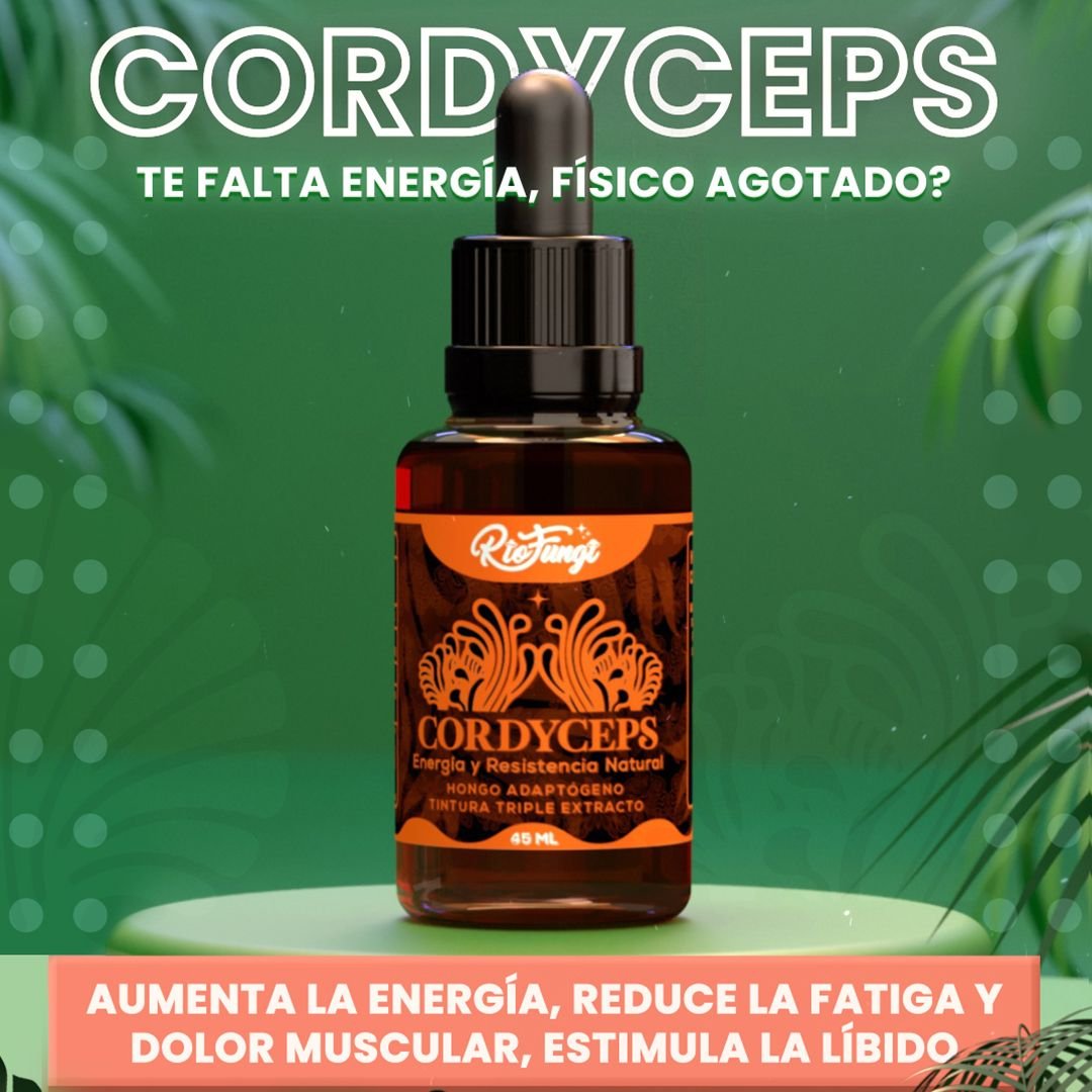 Cordyceps extracto