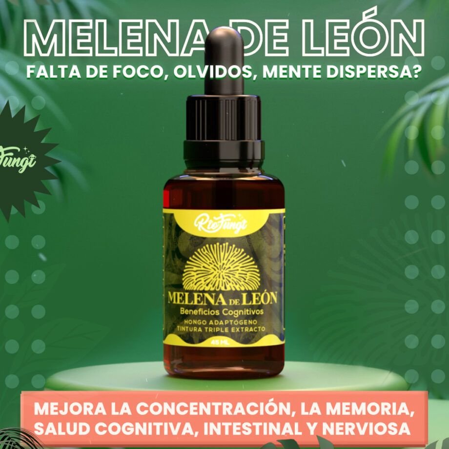 Melena de León extracto