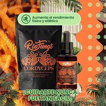cordyceps en capsulas y extractos goteros